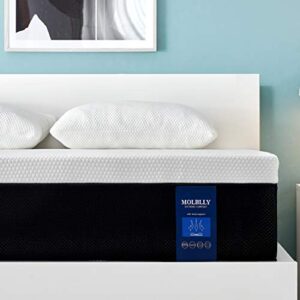 Molblly Queen Size Mattress,12 Inch Premium Cooling-Gel Memory Foam Mattress Bed in a Box, Cool Queen Bed Supportive & Pressure Relief with Breathable Soft Fabric Cover, Medium Firm