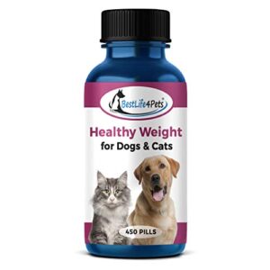 Healthy Weight Supplement for Cats and Dogs - Helps Overweight Pets Control Obesity Through Healthy Fat Burning, Improved Metabolism and Gentle Suppression of Appetite and Cravings (450 Pills)