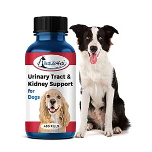 BestLife4Pets Dog UTI Kidney Support - Natural Urinary Tract Infection Treatment – Renal and Bladder Control Supplement – Easy to Use Pills