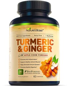 Turmeric Curcumin Supplement with Ginger & Apple Cider Vinegar, BioPerine Black Pepper, Tumeric & Ginger, 95% Curcuminoids & Joint Supplement, Antioxidant Tumeric Supplements Capsules, Nature's Base