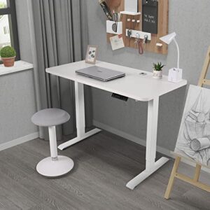 Bestmart INC Electric Standing Desk Dual Motor, 46x24 Inches Adjustable Height Computer Workstation Sit Stand up Desk for Home Office, White
