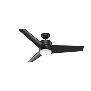 Hunter Fan Company 59471 Hunter Havoc Outdoor Ceiling Fan with LED Light and Wall Control, 54, Matte Black Finish