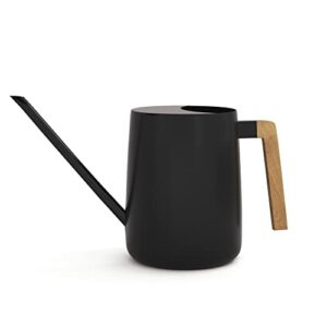 Indoor Watering Can with Long Spout - 35oz Black Watering Can for Indoor Plants - Cute Watering Can Indoor - Small Watering Can for Indoor Plants - Indoor Plant Watering Can - Houseplant Watering Can