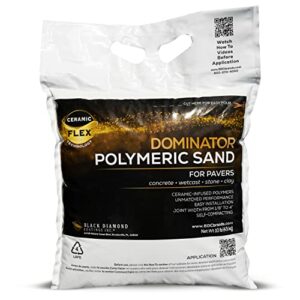 10 Pound Titanium Gray DOMINATOR Polymeric Sand with Revolutionary Ceramic Flex Technology for Stabilizing Paver Joints/Gaps, 1/8” up to 4”, Professional Grade Results
