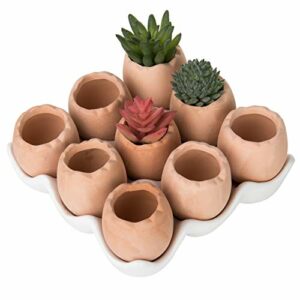 MyGift Succulent Mini Terracotta Plant Pots - Brown Egg Shaped Planters with White Ceramic Tray, Set of 9