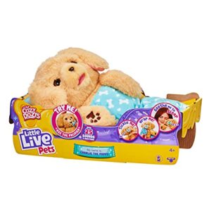 Little Live Pets - Cozy Dozys: Charlie The Puppy | Interactive Plush Toy Dog. 25+ Sounds and Reactions. Magical Eye Movement. Blanket, Pacifier and Batteries Included. for Kids Ages 4+.