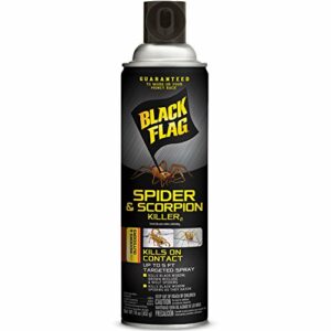 Black Flag Spider and Scorpion Killer 16 Ounces, Aerosol Insecticide SprayAdditional Product Name: Black Flag Spider and Scorpion Killer 16 Ounces, Aerosol Insecticide Spray 12 pack
