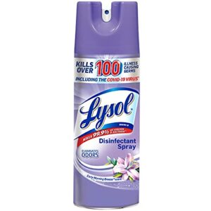 Lysol Disinfectant Spray, Sanitizing and Antibacterial Spray, For Disinfecting and Deodorizing, Early Morning Breeze, 1 Count, 12.5 fl oz each, Packaging may vary