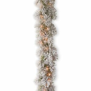 National Tree Company Pre-Lit Artificial Christmas Garland, Green, Glittery Bristle Pine, White Lights, Decorated With Frosted Branches, Plug In, Christmas Collection, 9 Feet