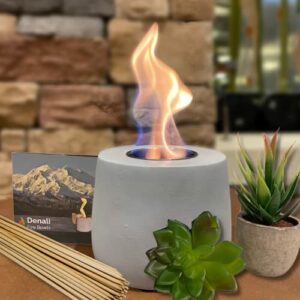 Denali Tabletop Fire Pit with Faux Succulents - Indoor / Outdoor Table Top Patio Fire Bowl with S'Mores Sticks and Extinguisher (Stone Grey Firepit)