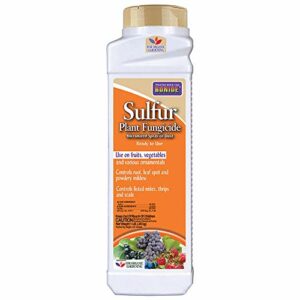 Bonide Sulfur Plant Fungicide, 1 lb Ready-to-Use Micronized Spray or Dust for Organic Gardening