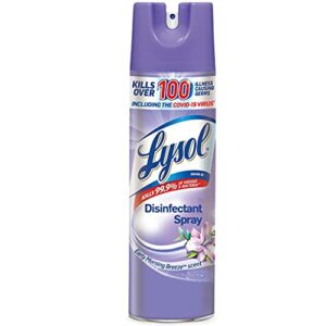 Lysol Disinfectant Spray, Sanitizing and Antibacterial Spray, For Disinfecting and Deodorizing, Early Morning Breeze, 19 Fl Oz, (Packaging May Vary)
