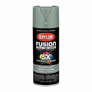 Krylon K02761007 Fusion All-In-One Spray Paint for Indoor/Outdoor Use, Matte Pale Sage Green