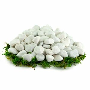 Southwest Boulder & Stone Porcelain White Pebbles | 20 Pounds | Natural Rocks, White Stones for Potted Plants, Gardening, Succulents, Aquariums, Terrariums, and More (1/2 Inch - 1 Inch)