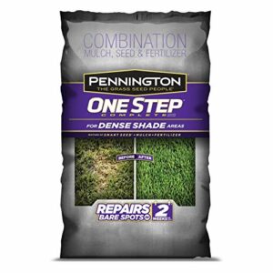 Pennington One Step Complete Dense Shade Bare Spot Grass Seed, 10 Pounds, White