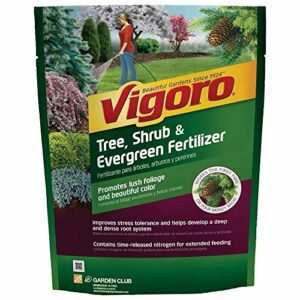 3.5 lb. Tree, Shrub and Evergreen Plant Food-Vigoro-124260 (1 Pack)